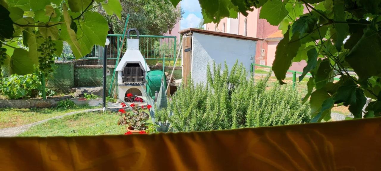 Apartmani Centar Seline Paklenica Exteriör bild